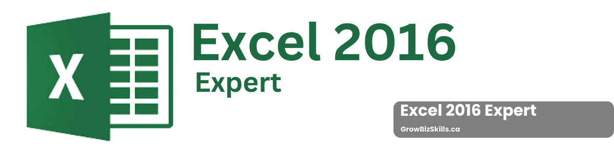 Excel 2016 Expert